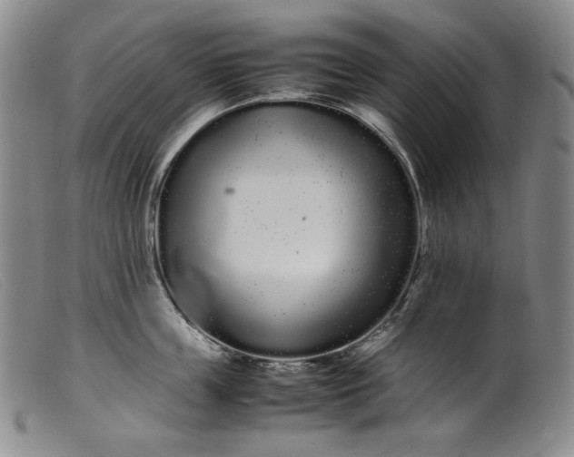 X0000099430859200805231652