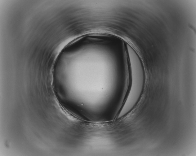 X0000099430862200805231652