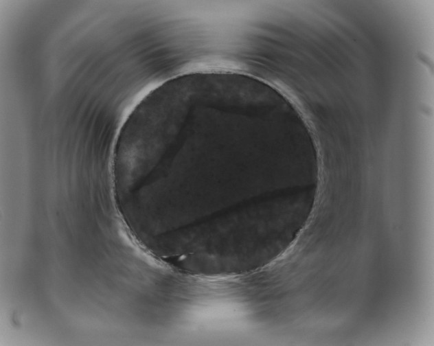 X0000099430864200805231652