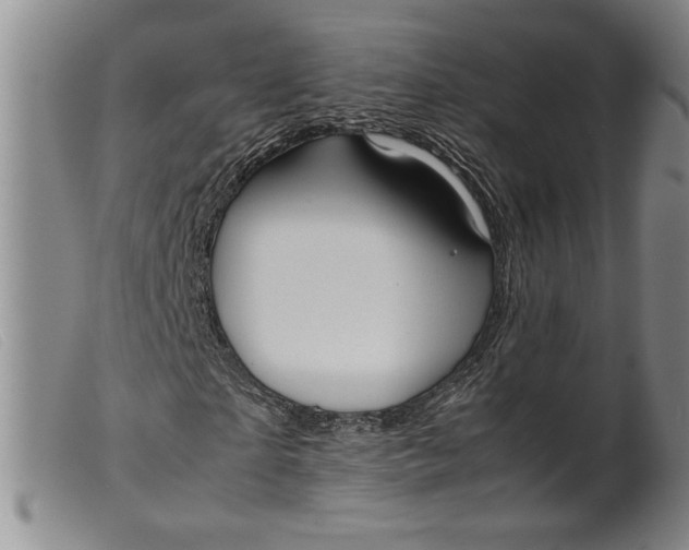 X0000099430865200805231651