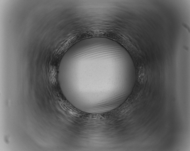 X0000099430866200805231651