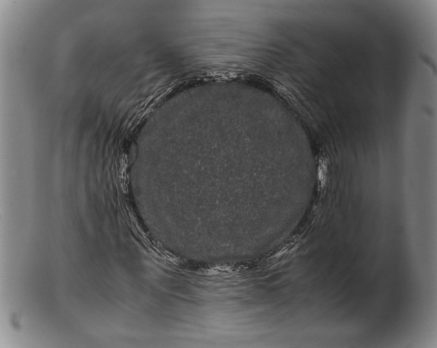 X0000099430867200805231651
