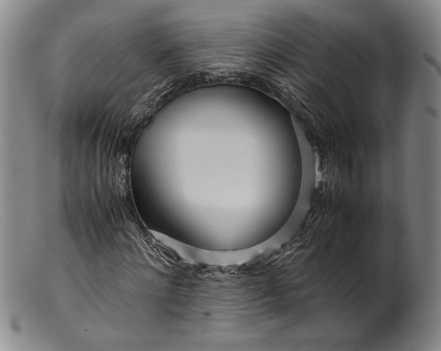 X0000099430868200805231651
