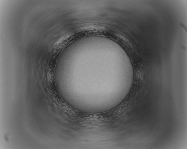 X0000099430869200805231651