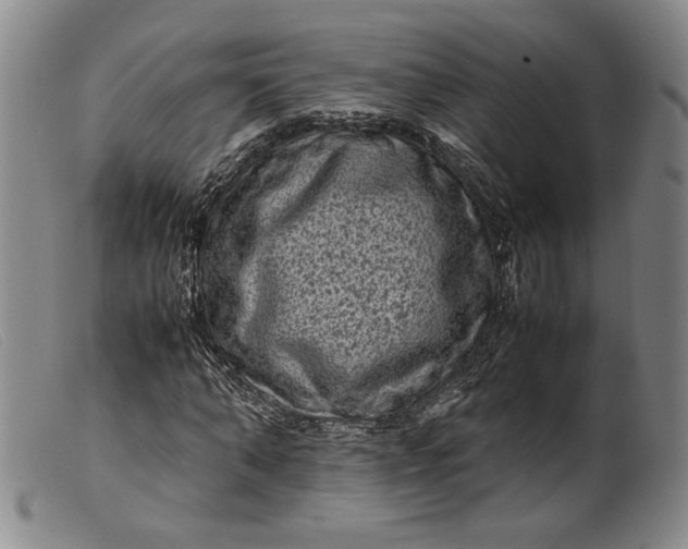 X0000099430870200805231651