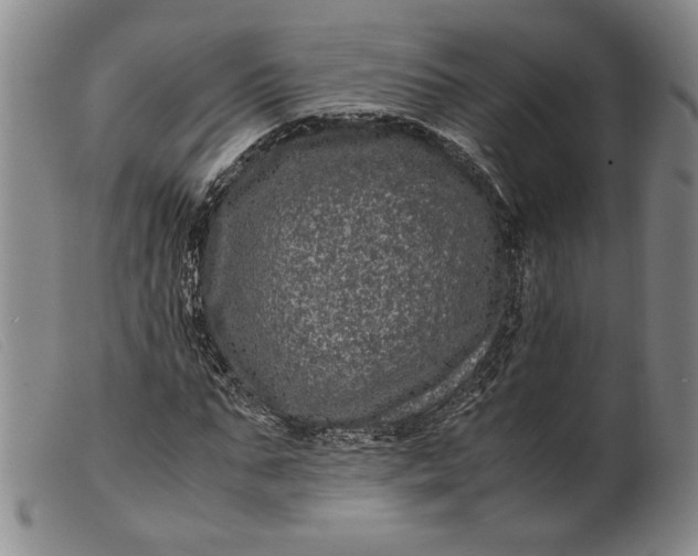 X0000099430871200805231651