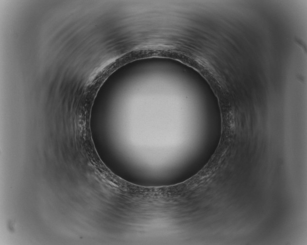 X0000099430872200805231651