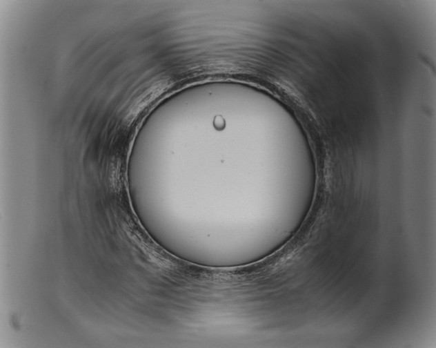 X0000099430873200805231651