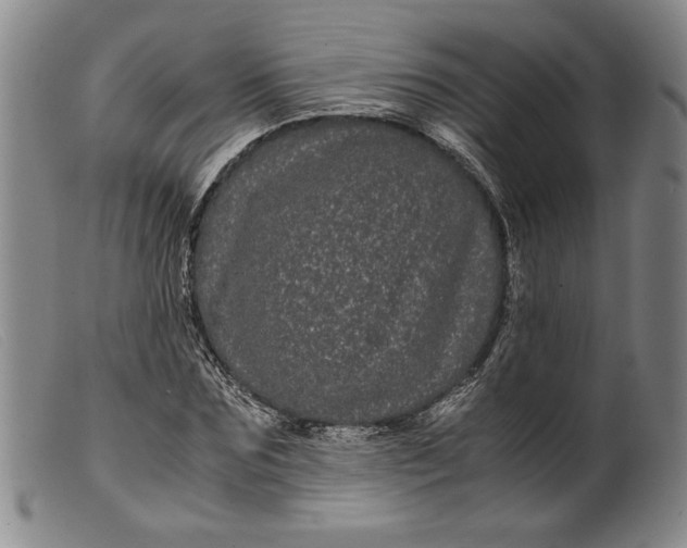 X0000099430875200805231651