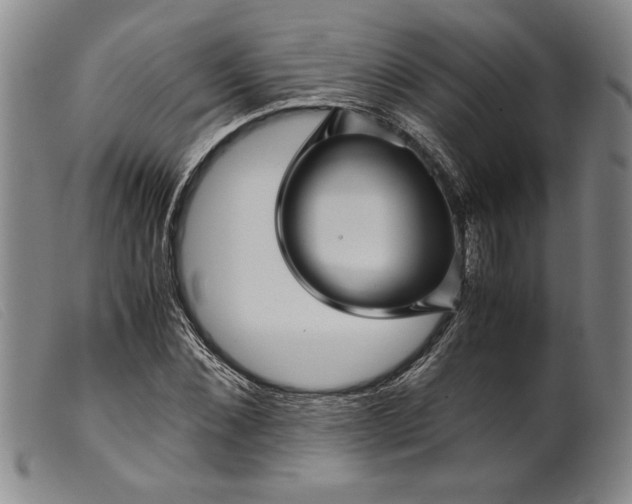 X0000099430876200805231651