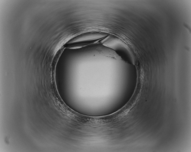 X0000099430877200805231651