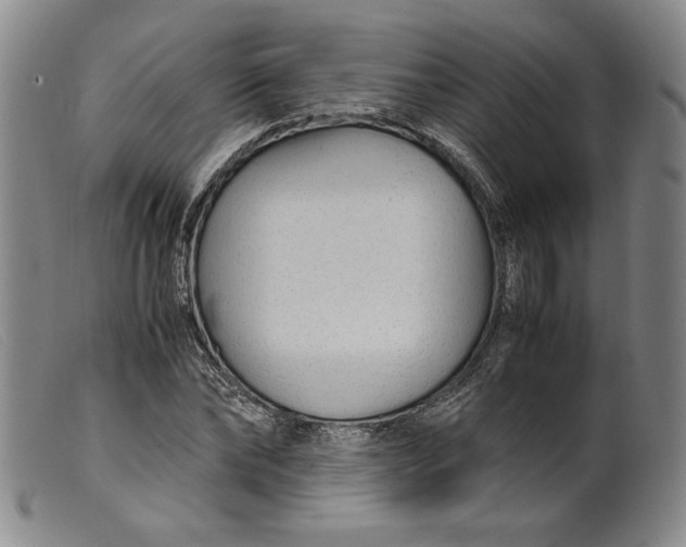 X0000099430878200805231651