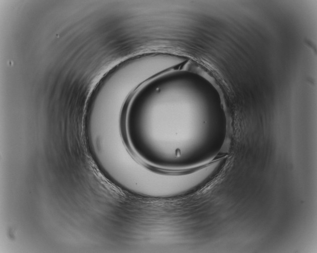 X0000099430880200805231651