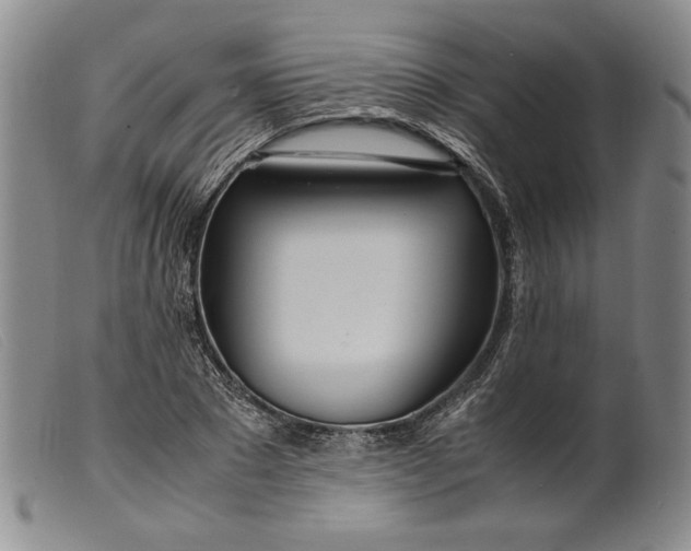 X0000099430881200805231651