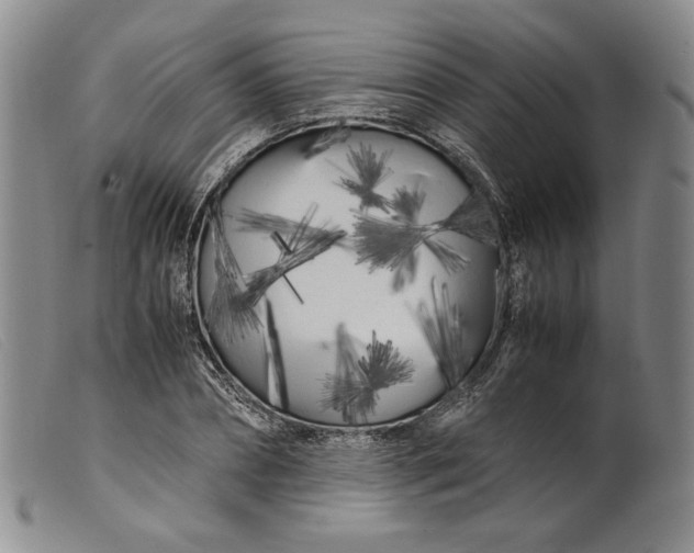X0000099430882200805231651