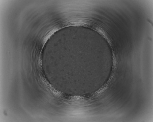 X0000099430883200805231651