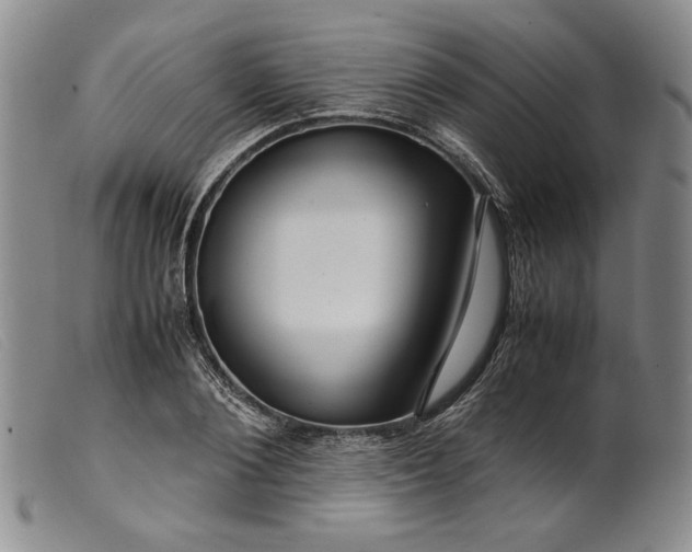 X0000099430884200805231651
