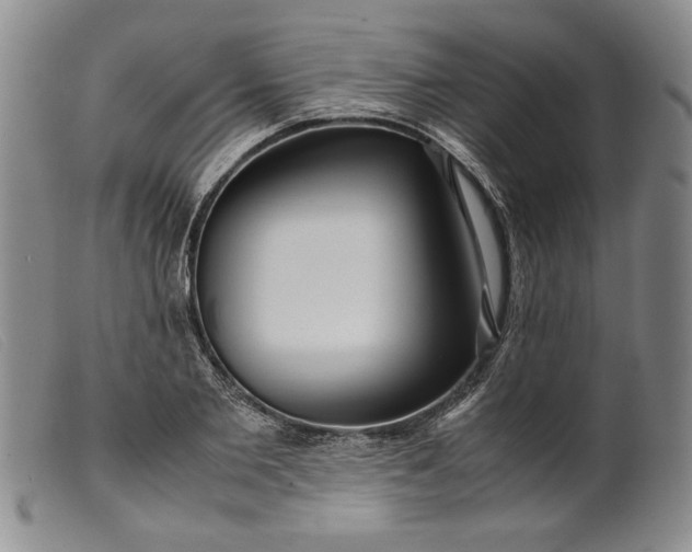 X0000099430885200805231651