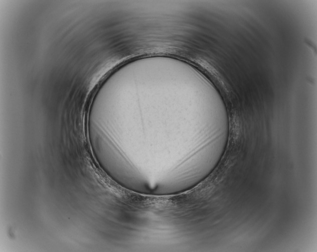 X0000099430886200805231651