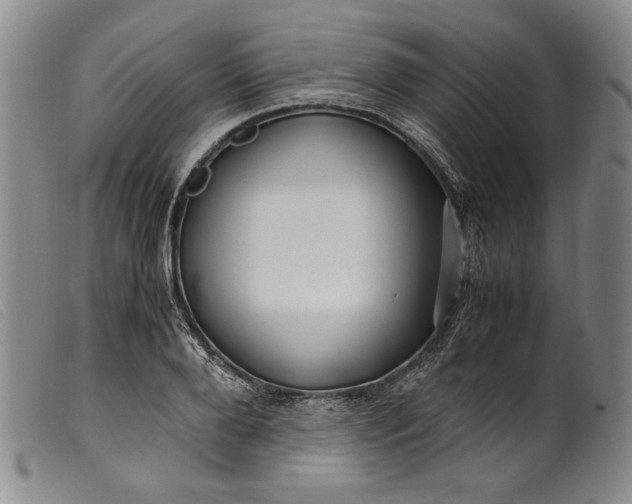 X0000099430888200805231650