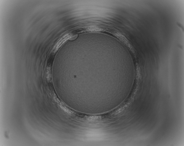X0000099430889200805231650