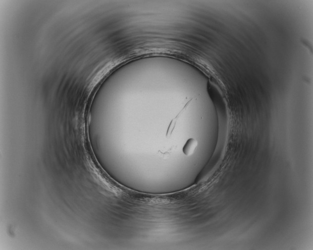 X0000099430890200805231650