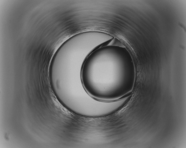 X0000099430892200805231650