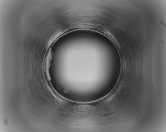 X0000099430893200805231650