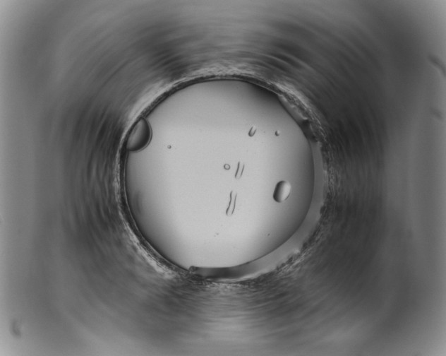 X0000099430894200805231650