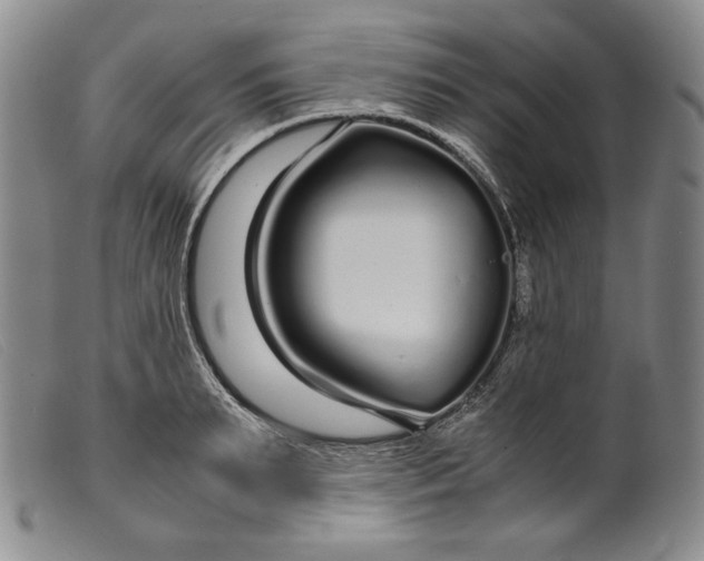 X0000099430895200805231650