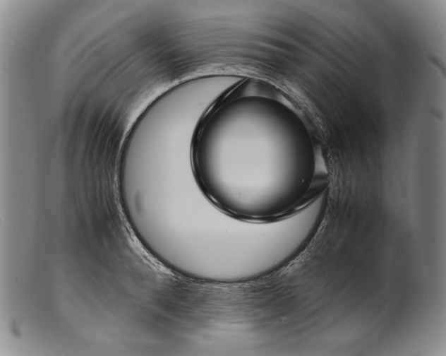X0000099430896200805231650