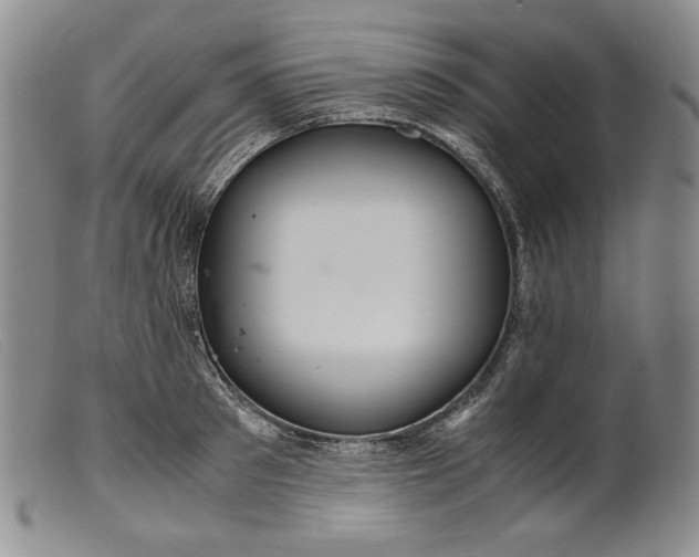 X0000099430897200805231650