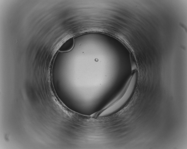 X0000099430898200805231650