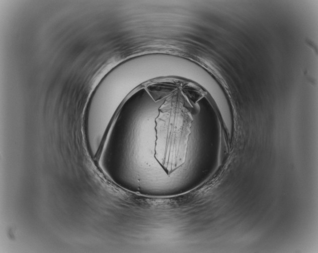 X0000099430899200805231650