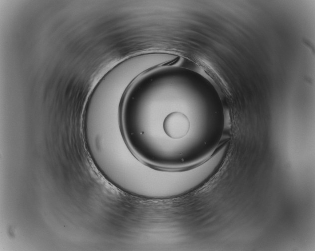 X0000099430900200805231650