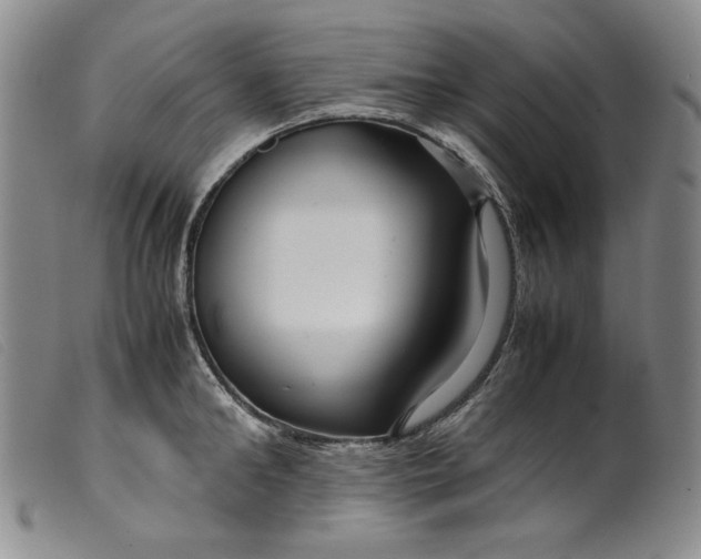 X0000099430902200805231650