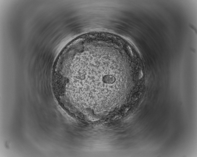 X0000099430903200805231650
