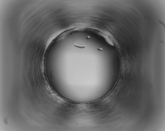 X0000099430904200805231650