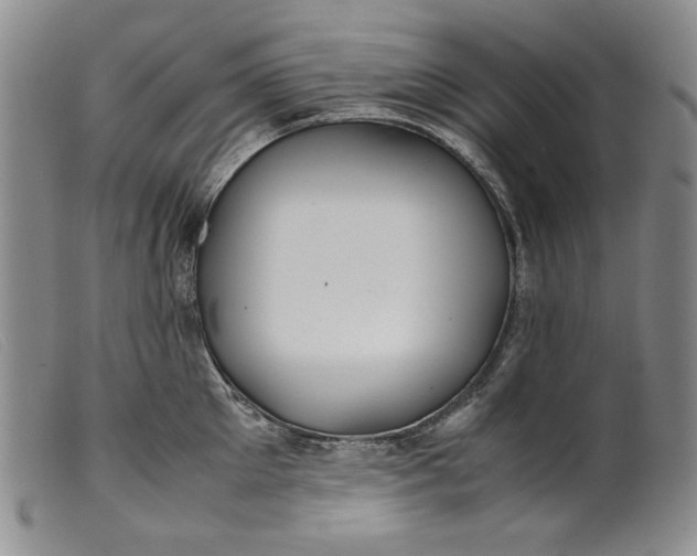 X0000099430905200805231650