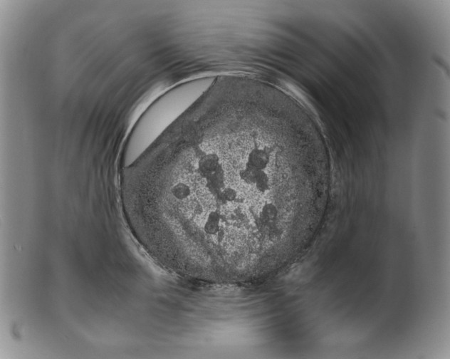 X0000099430907200805231650