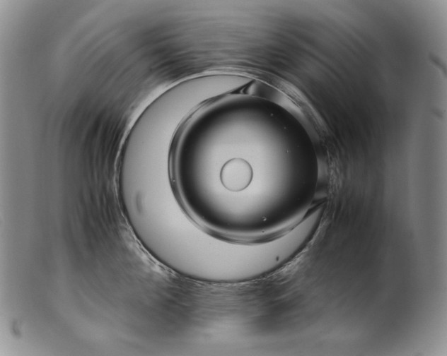 X0000099430908200805231650