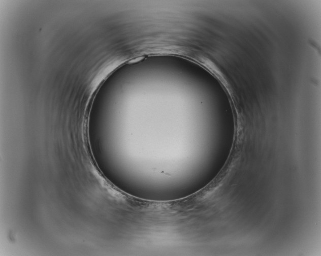 X0000099430909200805231650
