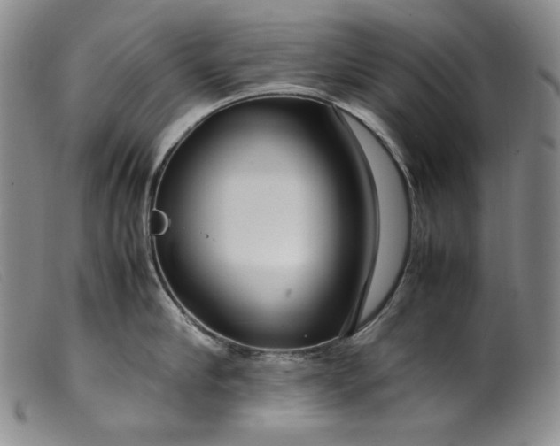 X0000099430910200805231650