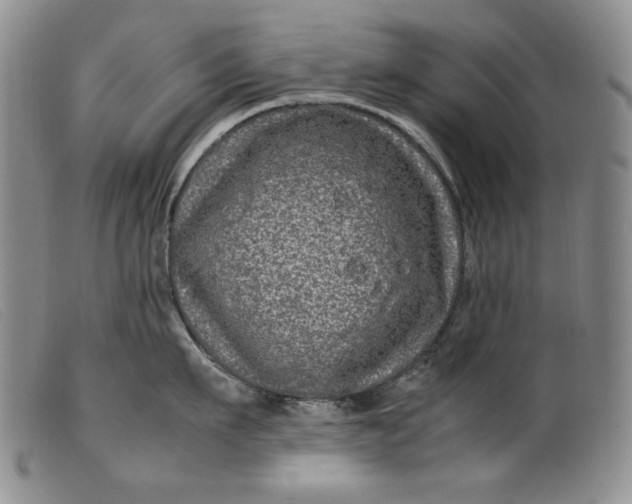 X0000099430911200805231650