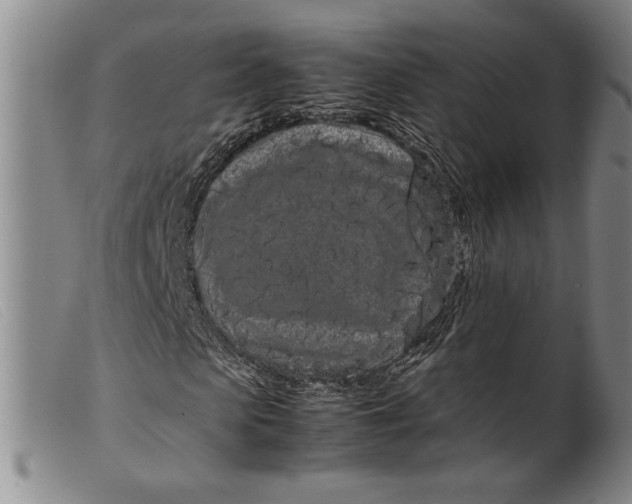 X0000099430913200805231649