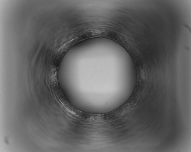 X0000099430914200805231649