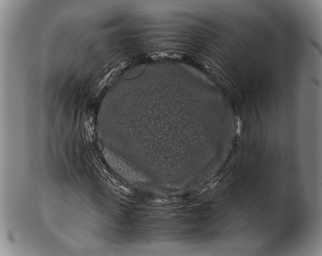 X0000099430915200805231649