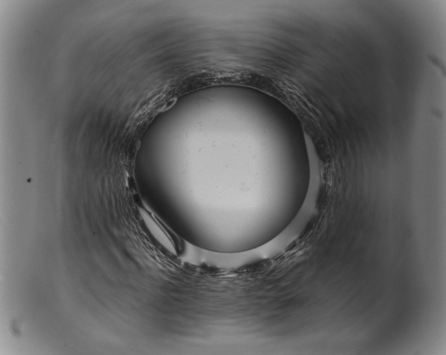 X0000099430916200805231649