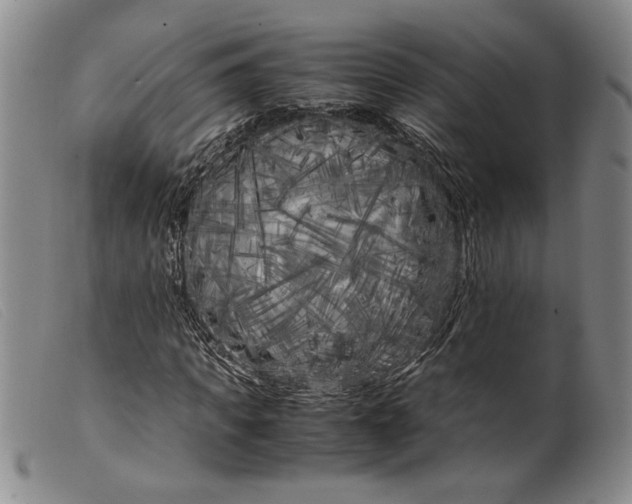 X0000099430917200805231649
