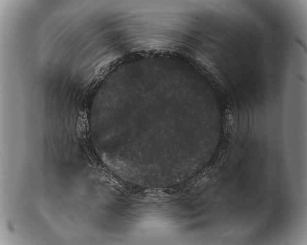 X0000099430918200805231649
